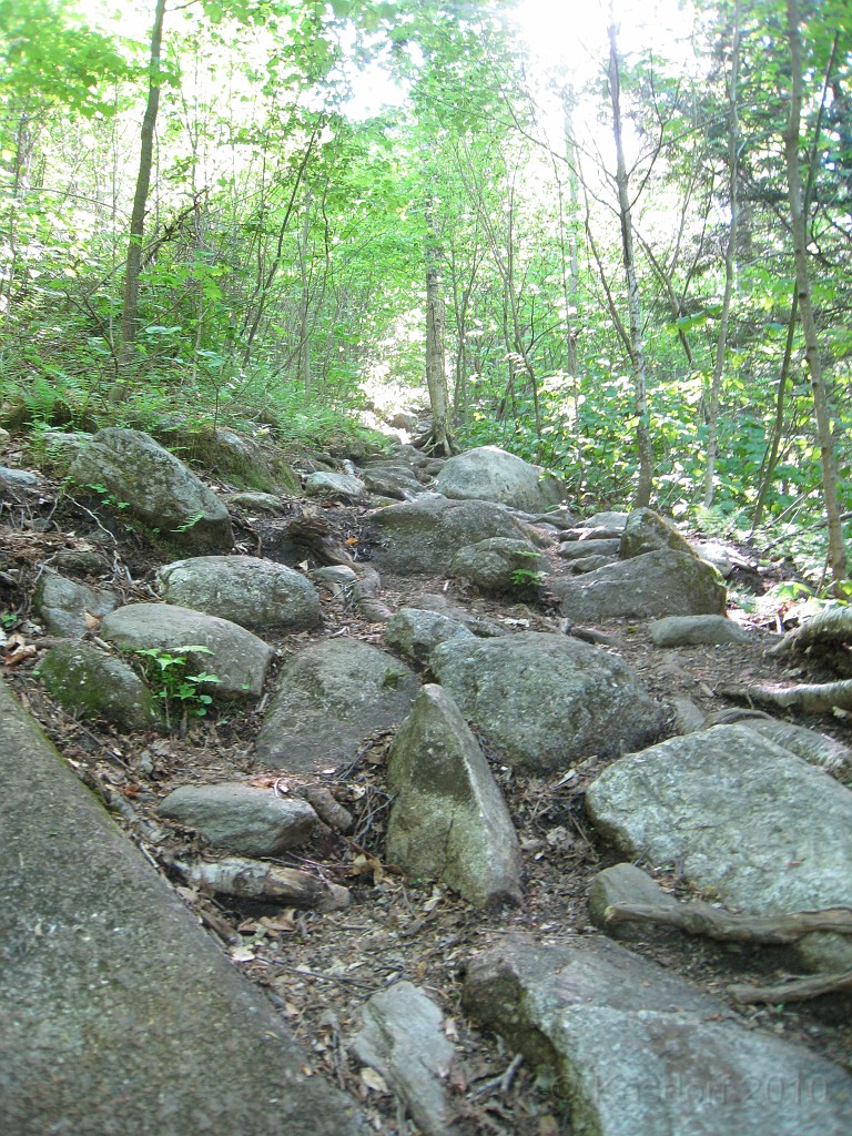 Mt Cardigan NH 2010 0110.jpg - Mt. Cardigan in New Hampshire. Summited on May 25, 2010. There are numerous trails to the peak... I had to pick the extremely difficult one. The views were worth it.